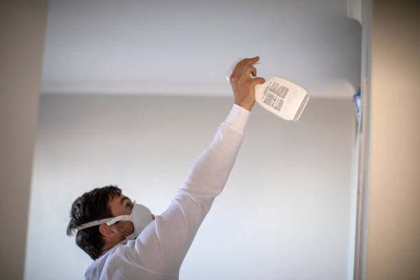 Best Toxic Mold Removal  in Arlington Heights, IL