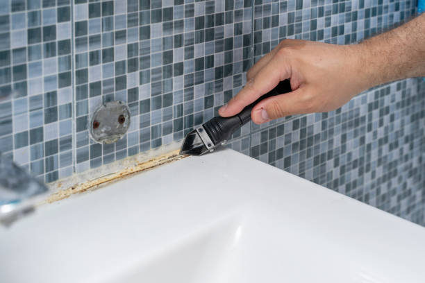Best Commercial Mold Removal  in Arlington Heights, IL